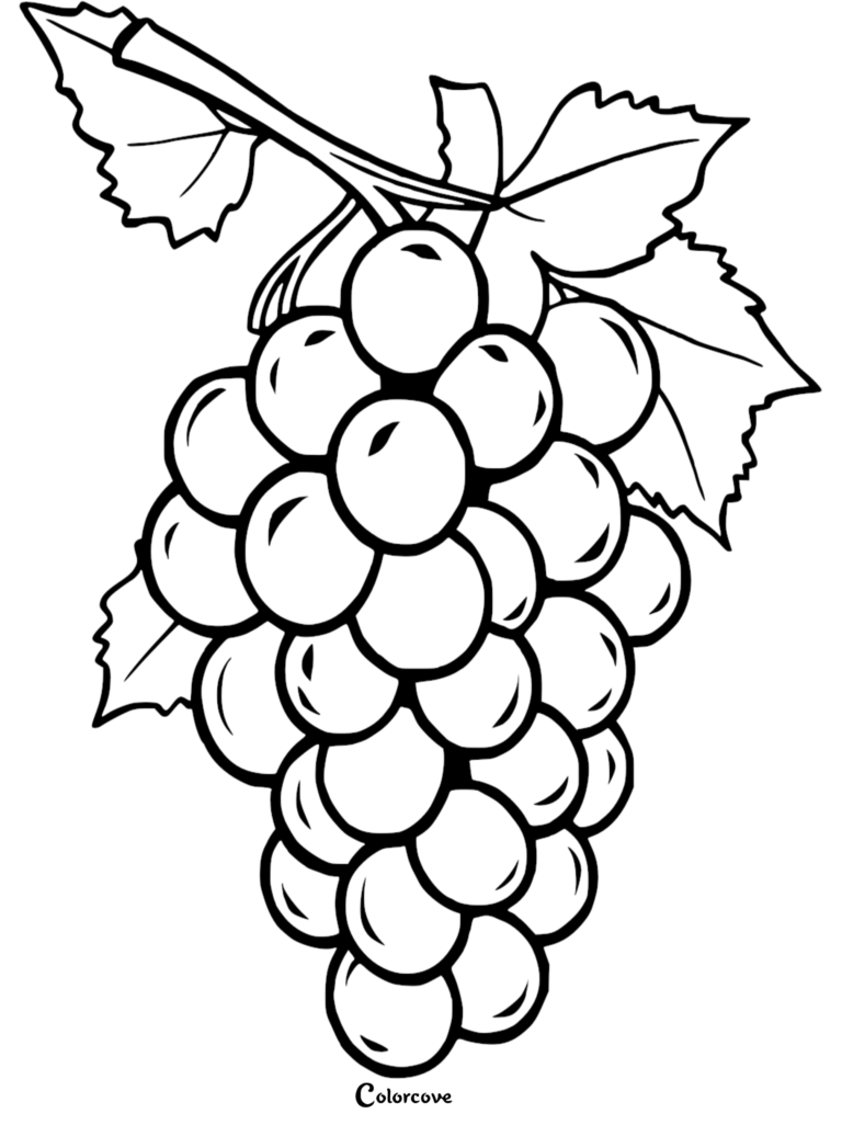 A printable coloring page featuring a large, detailed bunch of grapes hanging from a vine with two large leaves.