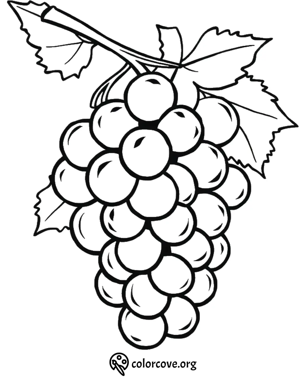 Black and white grape cluster coloring page with leaves and stem, perfect for kids and adults.