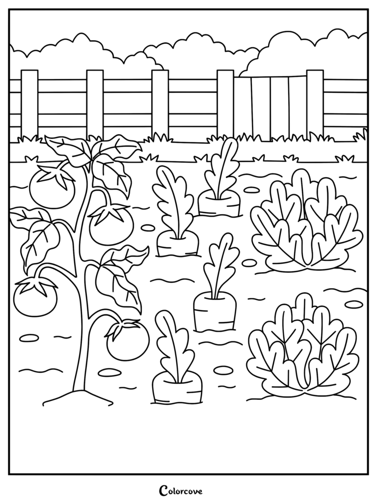 A vegetable garden coloring page featuring a tomato plant, carrots, and leafy lettuce heads in front of a wooden fence.