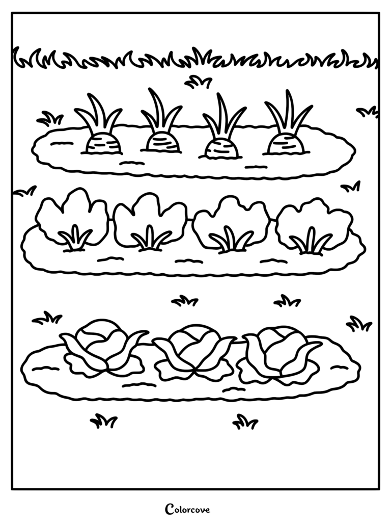 A simple vegetable garden coloring page featuring three rows of carrots, leafy greens, and cabbages planted in soil.