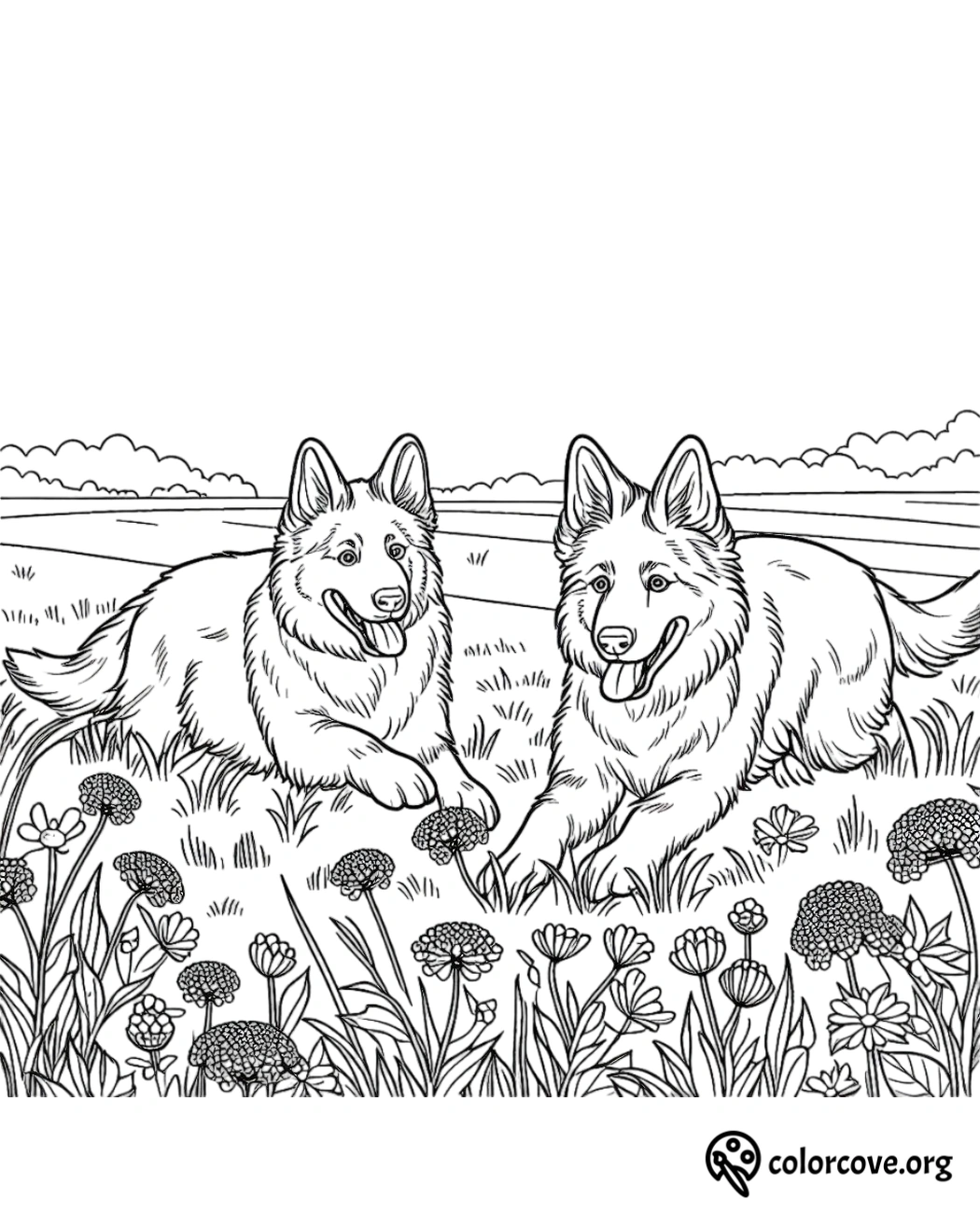 two dogs lying in a field of flowers