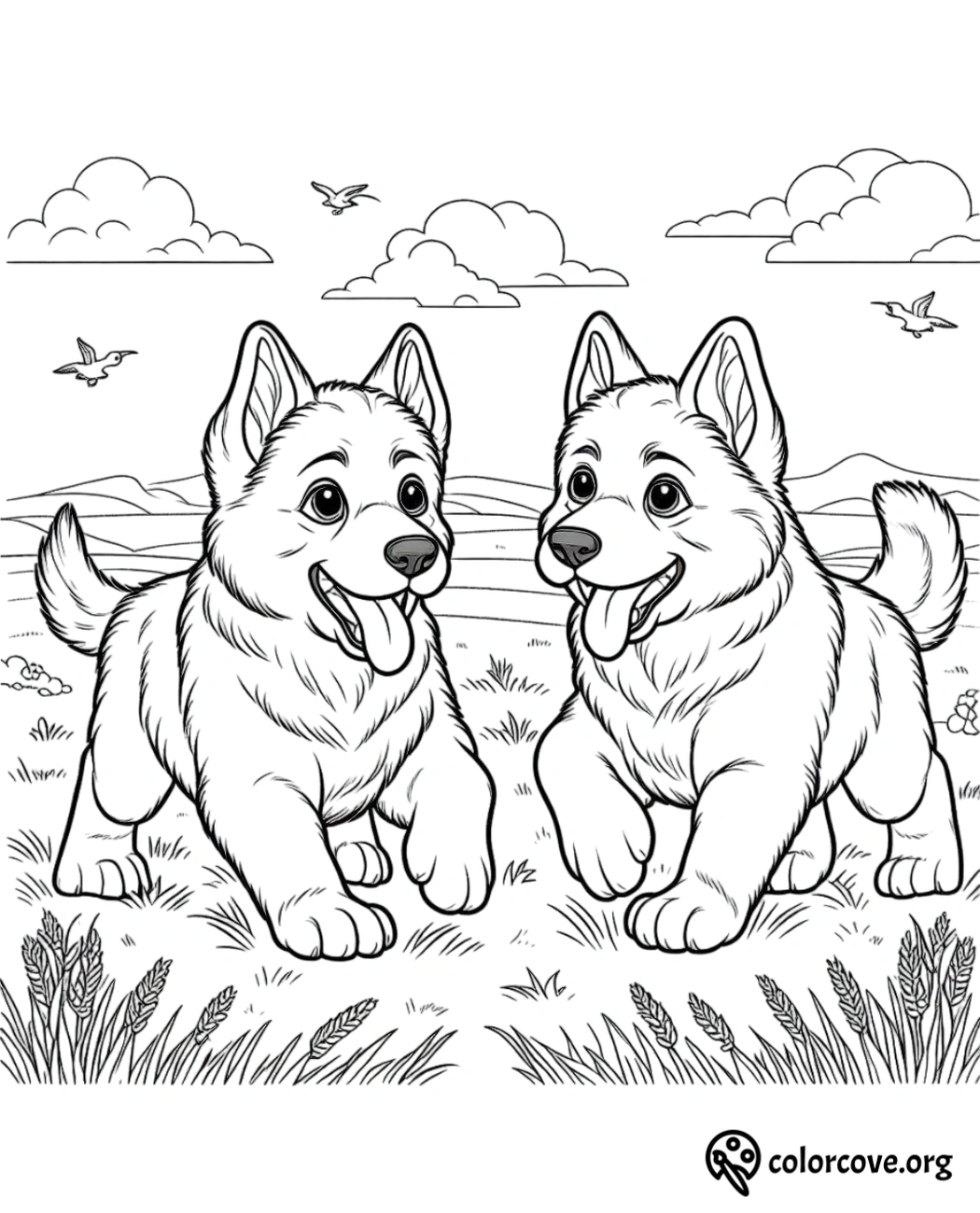 a couple of dogs running in a field