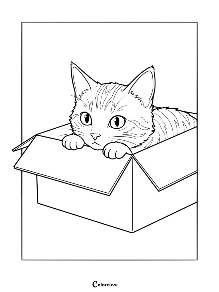 A cute tabby ginger cat resting inside a cardboard box, printable coloring page with clean line art.