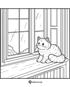 a cat sitting on a window sill