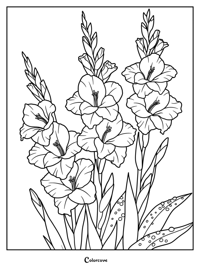 A detailed coloring page featuring three tall gladiolus flower stalks with blooming petals and dew-covered leaves.