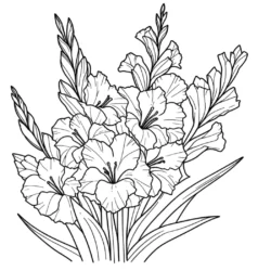 Black and white gladiolus flower coloring page with intricate petals and leaves for adults and kids to color.