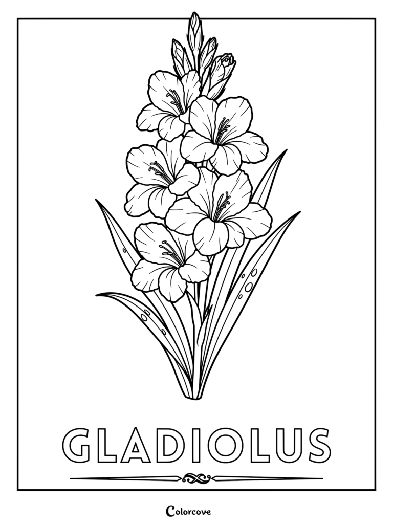 A detailed line art coloring page featuring a tall gladiolus flower stalk with multiple blooming petals and long sword-shaped leaves.