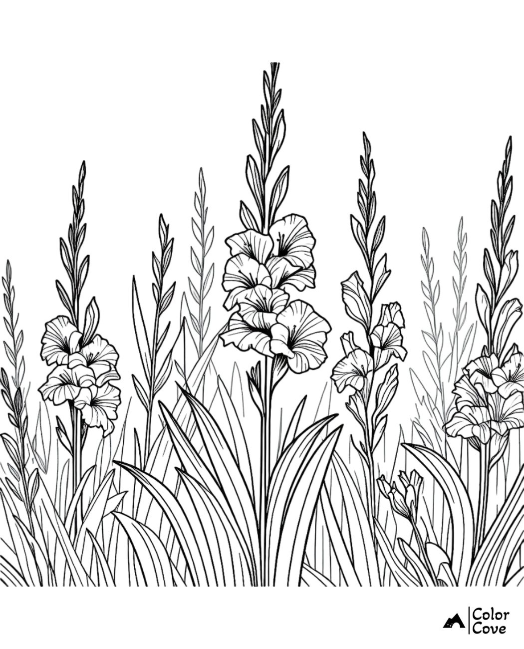 Coloring page of beautiful gladiolus flowers with detailed petals and leaves, ideal for adult coloring enthusiasts.