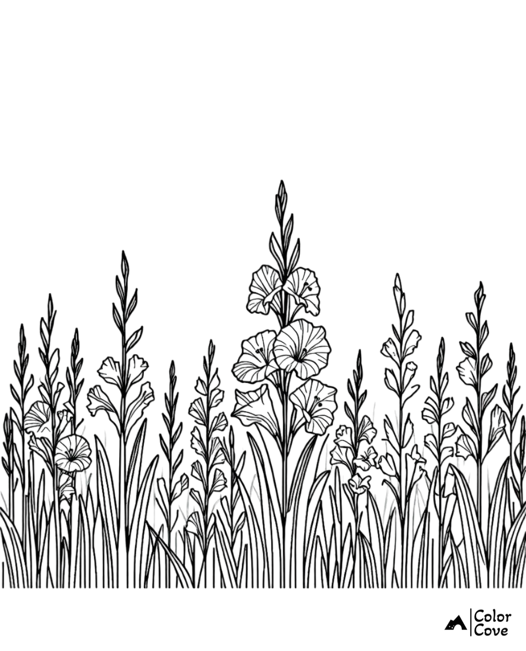 Coloring page of blooming gladiolus flowers with tall grass in black and white, perfect for a relaxing creative activity.