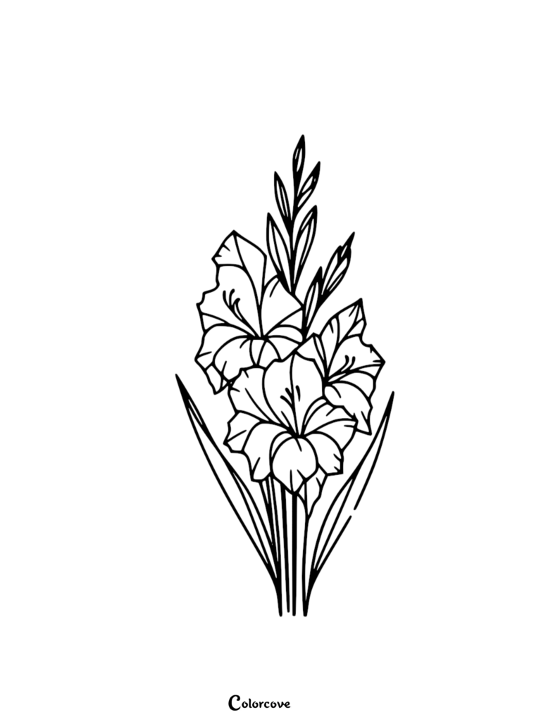 A simple line art drawing of a beautiful Gladiolus flower stalk with two open blooms and pointed leaves for a printable coloring page.