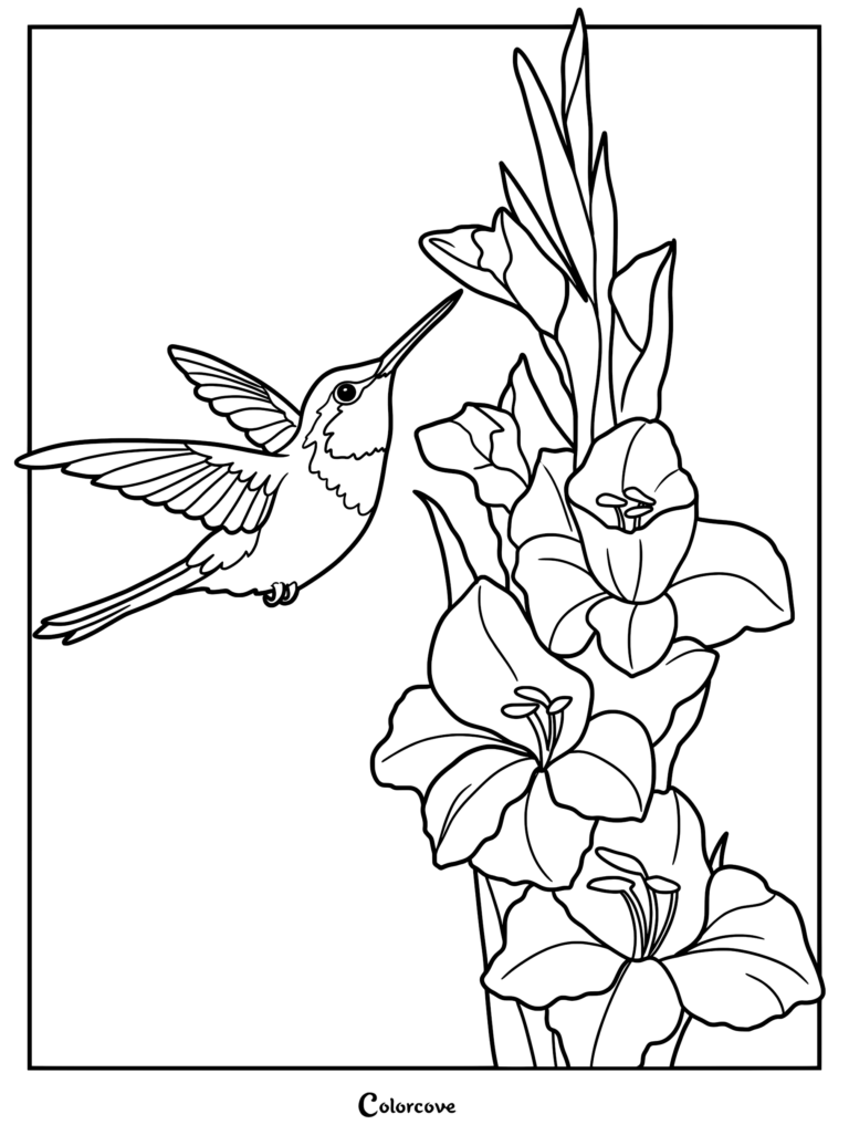 A hummingbird hovering near a tall stalk of blooming gladiolus flowers in this detailed line art coloring page.