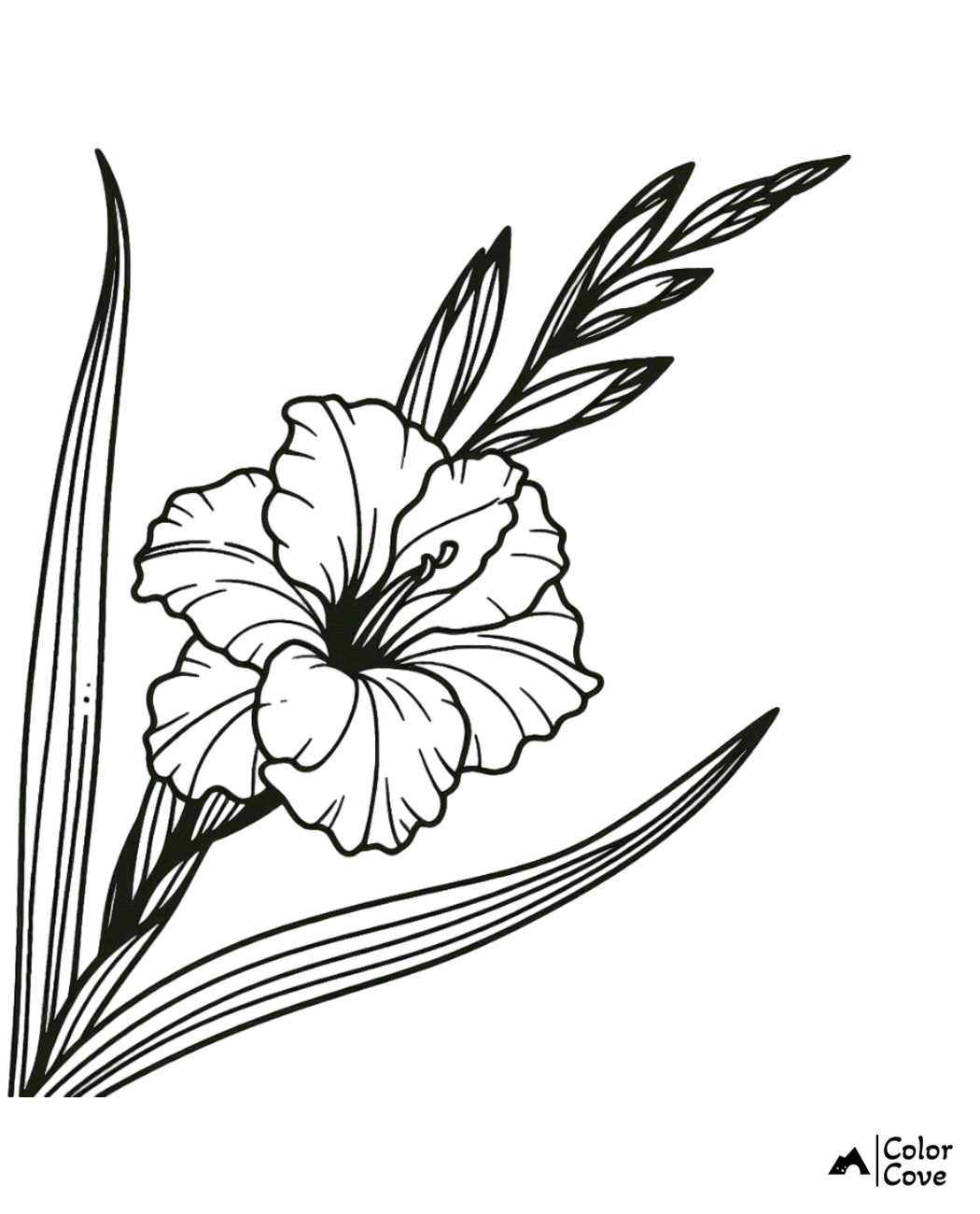 Beautiful floral coloring page of a detailed gladiolus flower and leaves, perfect for adult and children's coloring fun.