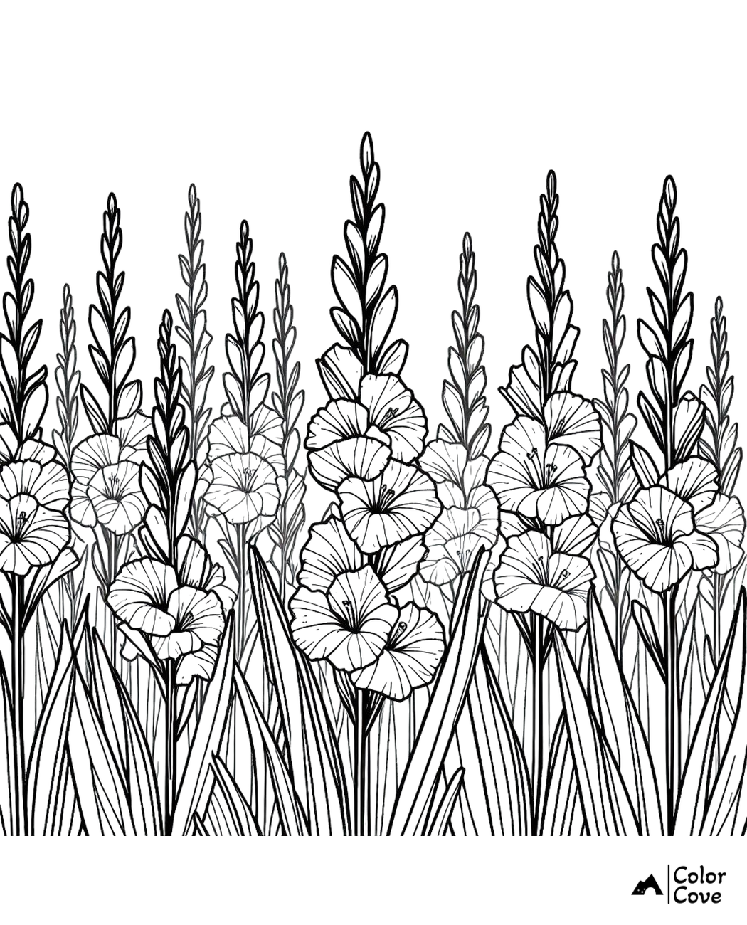 Detailed coloring page of gladiolus flowers and tall leaves from Color Cove, perfect for relaxing and creative time.