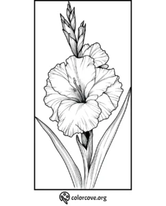Coloring page of a detailed gladiolus flower with long leaves, ideal for botanical coloring enthusiasts.