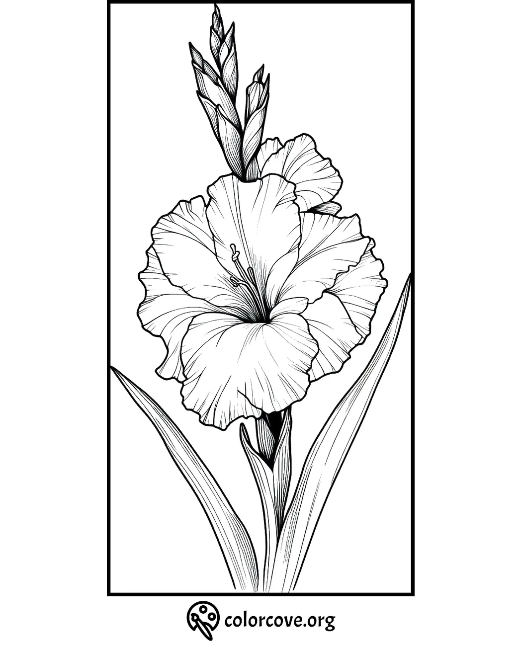 Coloring page of a detailed gladiolus flower with long leaves, ideal for botanical coloring enthusiasts.