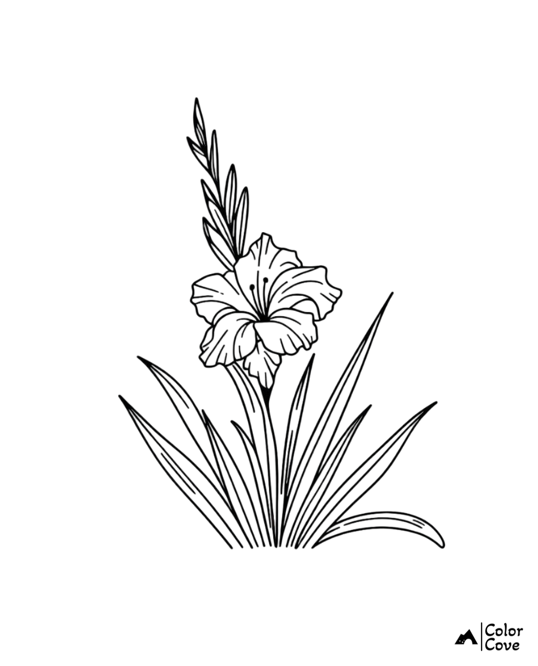 Coloring page of a detailed gladiolus flower with leaves, ideal for nature and floral coloring enthusiasts.