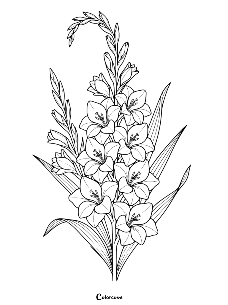 A detailed line art coloring page featuring a tall, elegant gladiolus flower stalk with multiple blooming blossoms and pointed leaves.