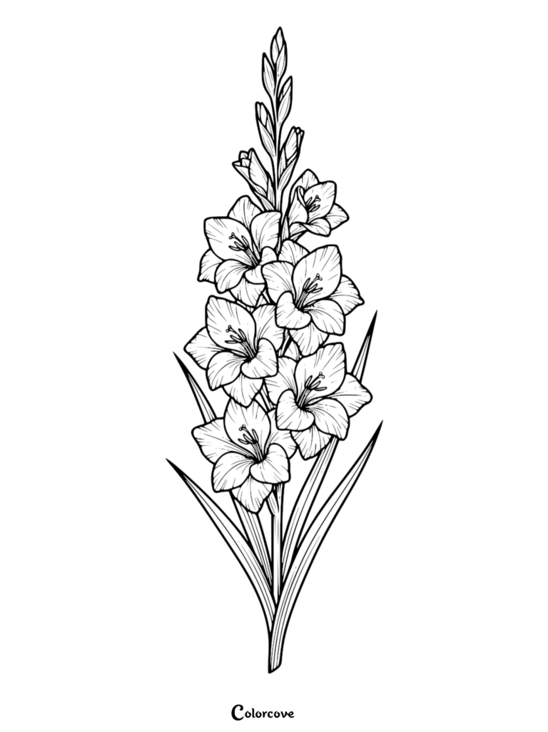 Detailed line art of a tall Gladiolus flower spike with multiple blooming petals and long sword-shaped leaves as a printable coloring page.