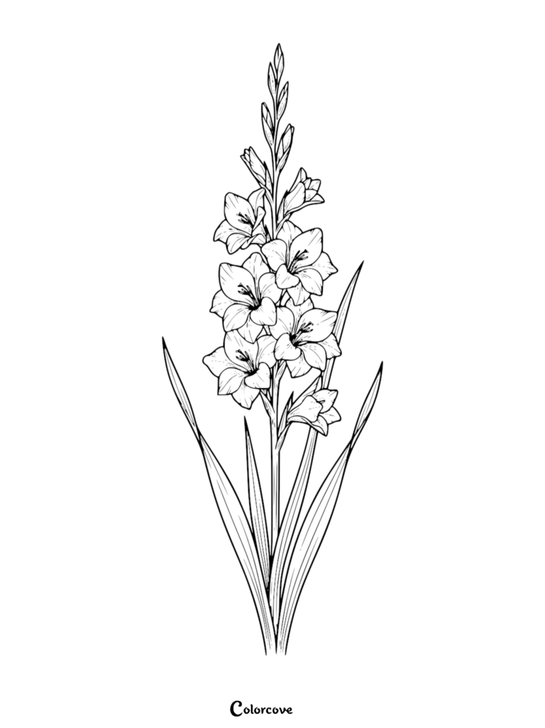 A detailed line art illustration of a tall Gladiolus flower spike with multiple blooming petals and long sword-shaped leaves as a printable coloring page.
