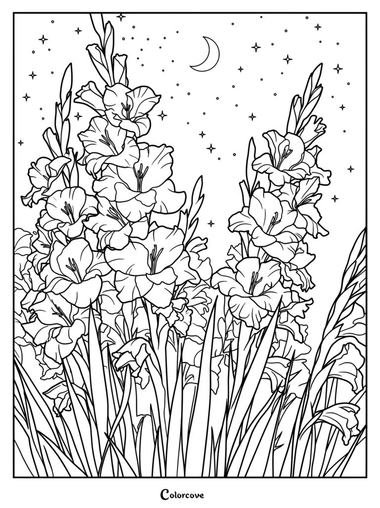 A detailed coloring page featuring tall gladiolus flower stalks blooming under a crescent moon and starry night sky.