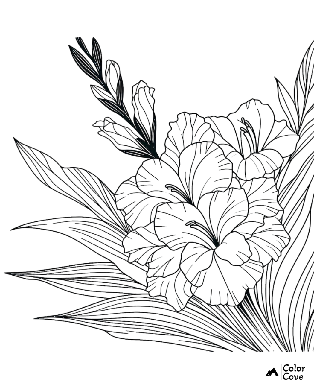 Coloring page featuring detailed gladiolus flowers and leaves, ideal for stress relief and creative expression.