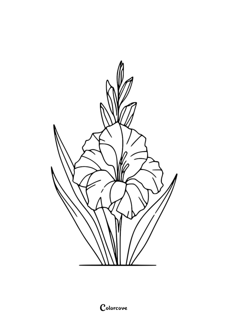 A detailed line art drawing of a single gladiolus flower with tall sword-shaped leaves, presented as a printable coloring page.