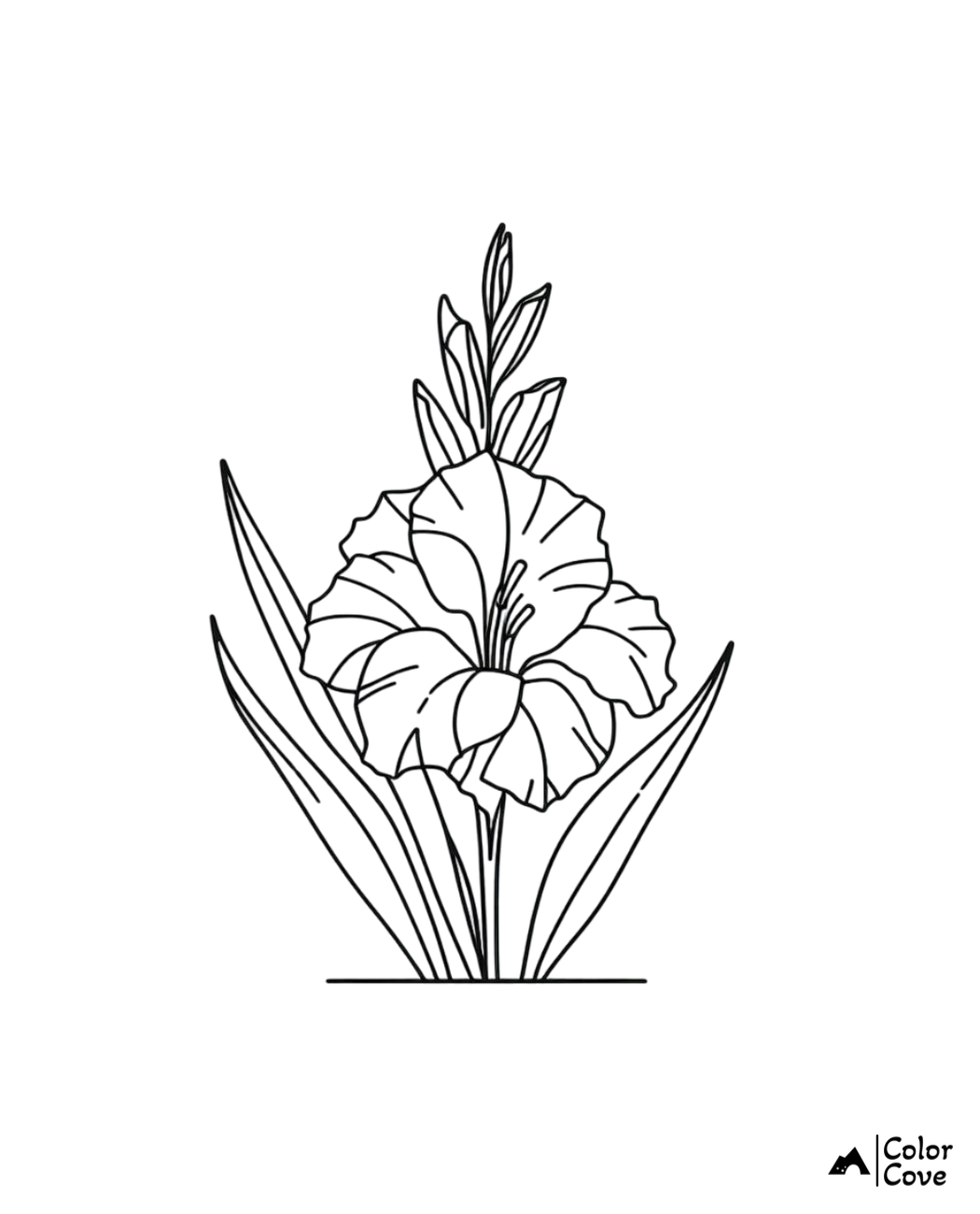 Coloring page of a beautiful gladiolus flower in full bloom with detailed petals and leaves, perfect for kids and adults.