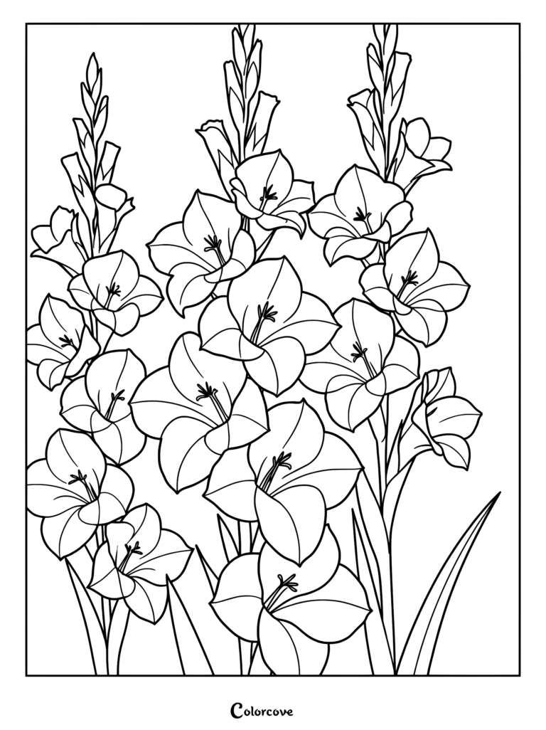 A detailed line art coloring page featuring three tall stalks of blooming gladiolus flowers with pointed petals.