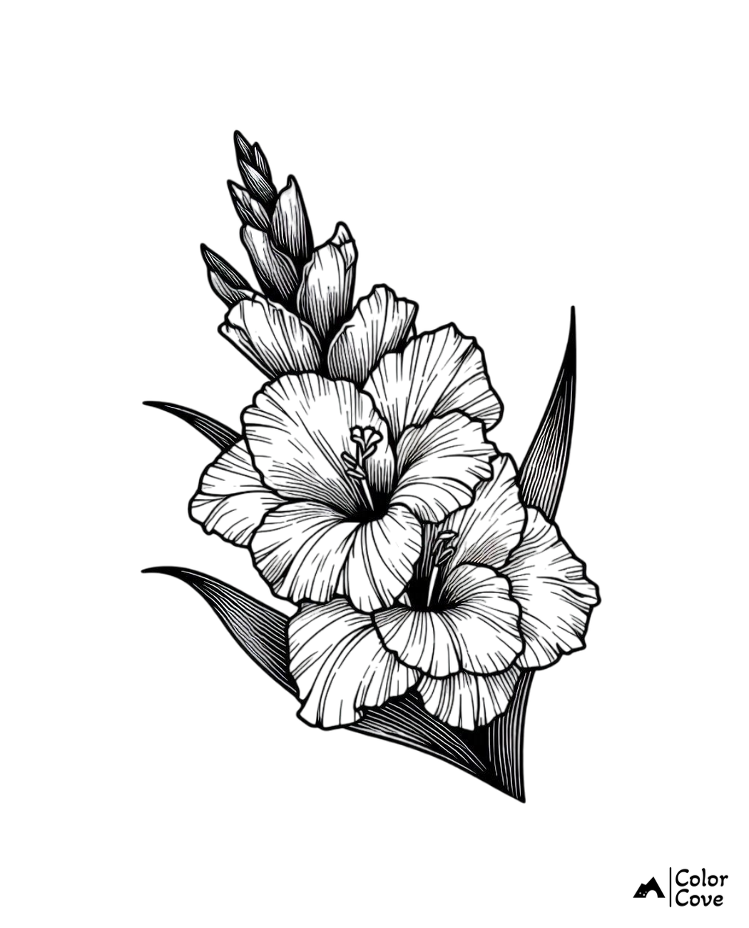 Black and white gladiolus flower coloring page, intricate floral design with leaves for adult coloring enthusiasts.