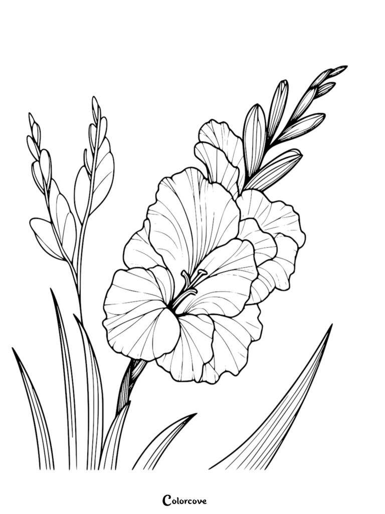 Detailed line art of a beautiful gladiolus flower with tall stems and blooming petals for a printable coloring page.