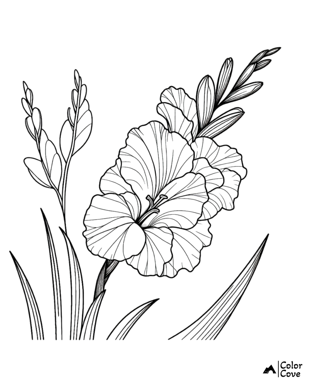 Gladiolus flower coloring page with detailed petals and leaves, ideal for adults and children. Printable floral illustration.