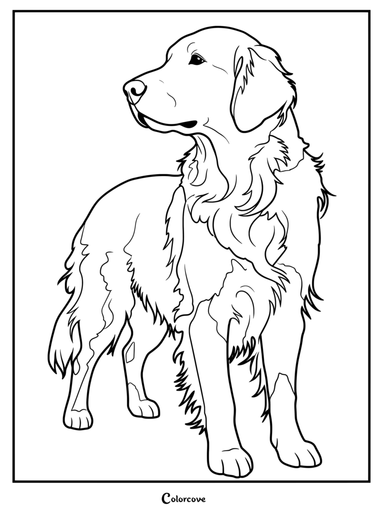 A printable coloring page of a majestic Golden Retriever standing proudly and looking away.