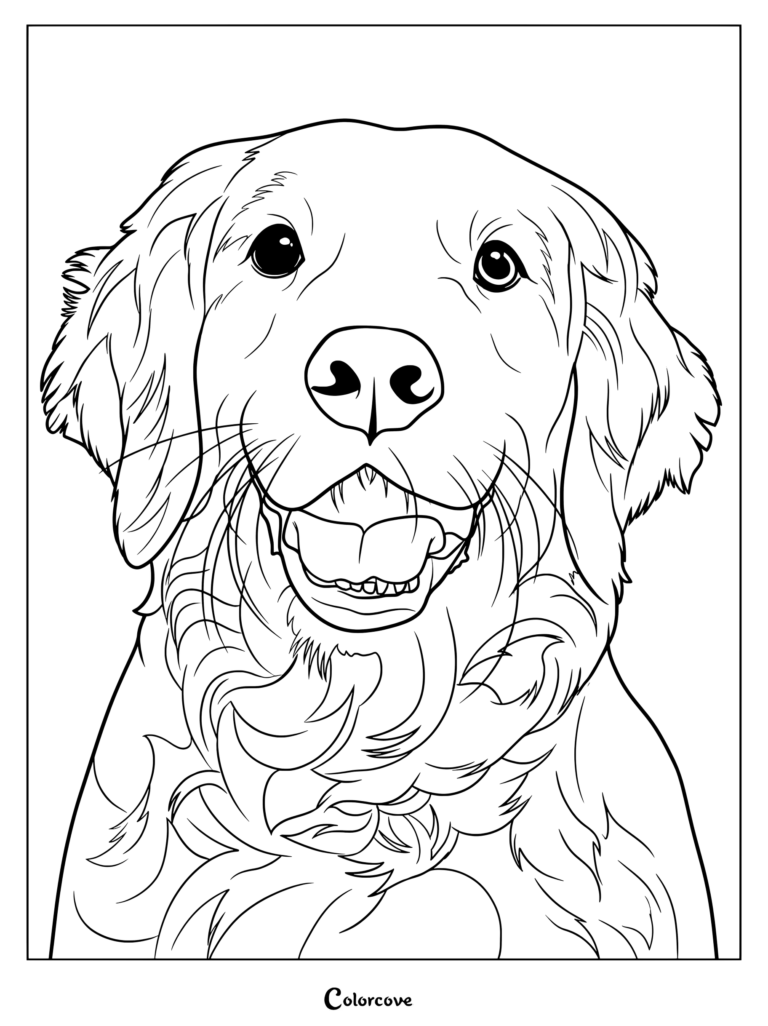 Detailed golden retriever coloring page showing a friendly dog face with smiling expression and floppy ears