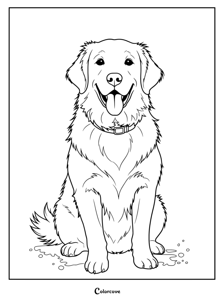 A friendly Golden Retriever sitting down with its tongue out in a coloring page