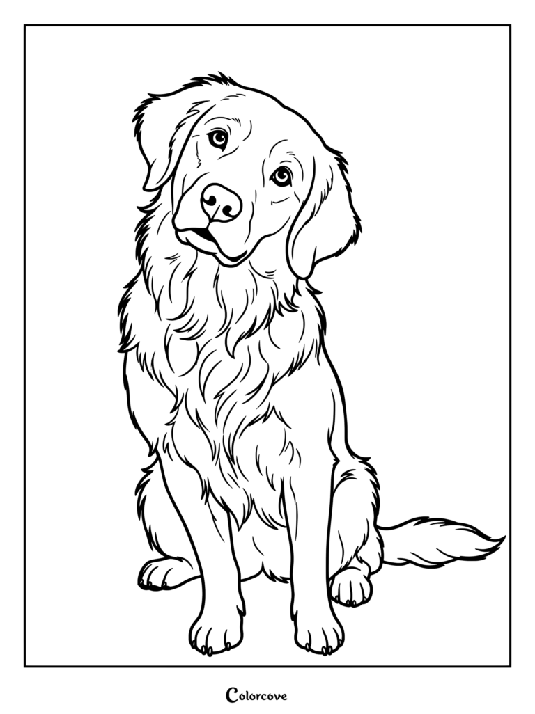 A printable coloring page of a friendly Golden Retriever sitting upright and tilting its head with curious eyes.