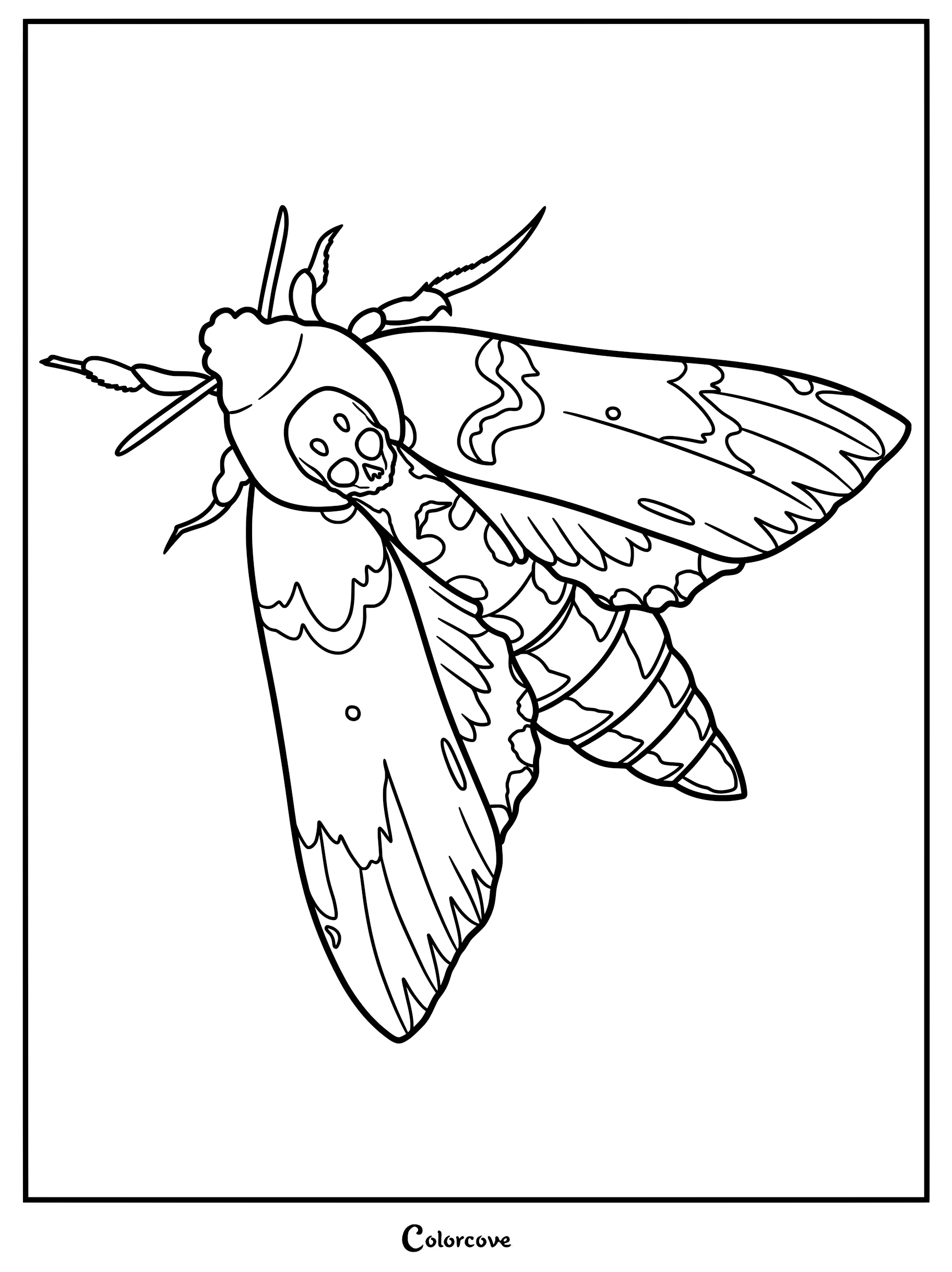 A detailed Gothic Hawkmoth coloring page featuring a death's-head moth with a skull pattern on its thorax and intricate wing markings.