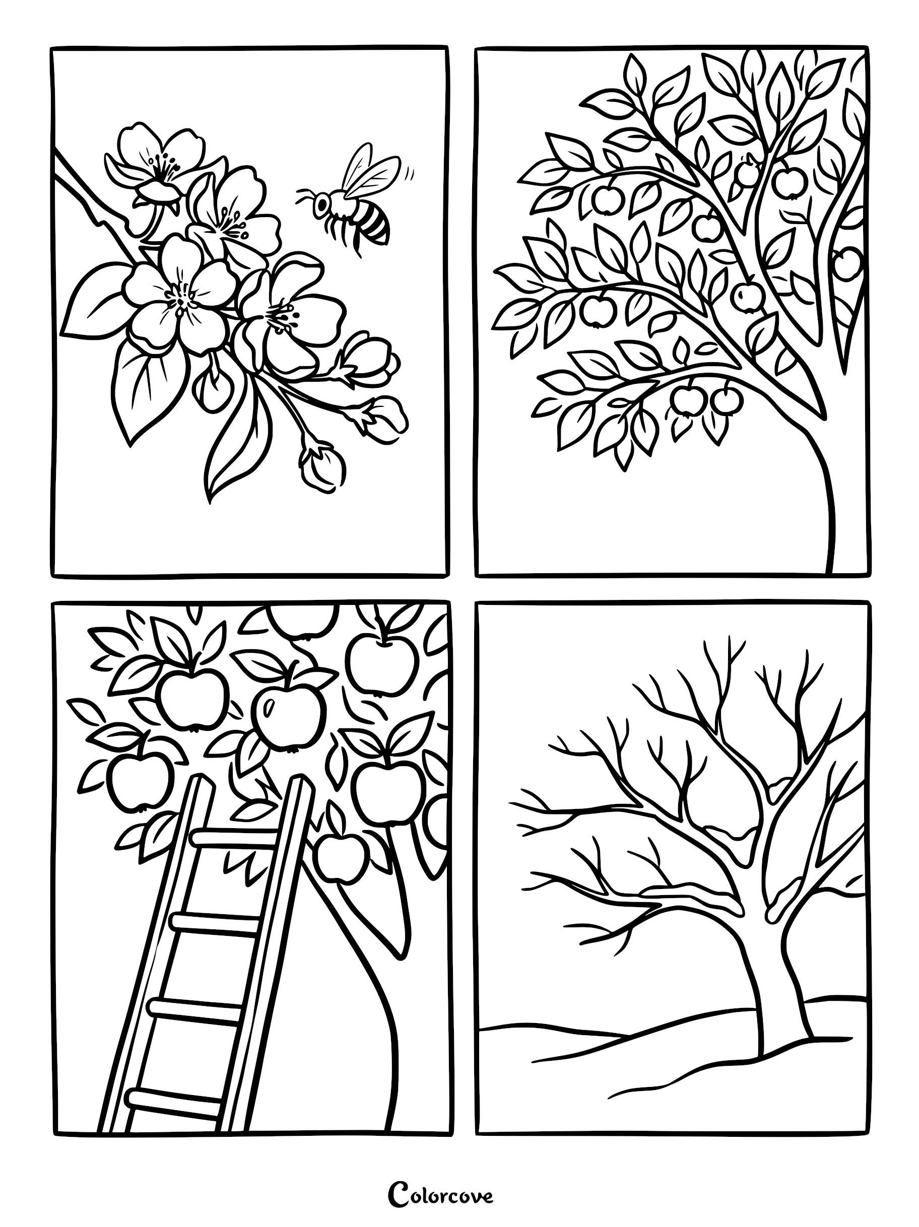 A four-panel apple tree seasons coloring page showing spring blossoms with a bee, summer leaves, autumn harvest with a ladder, and a bare winter tree.
