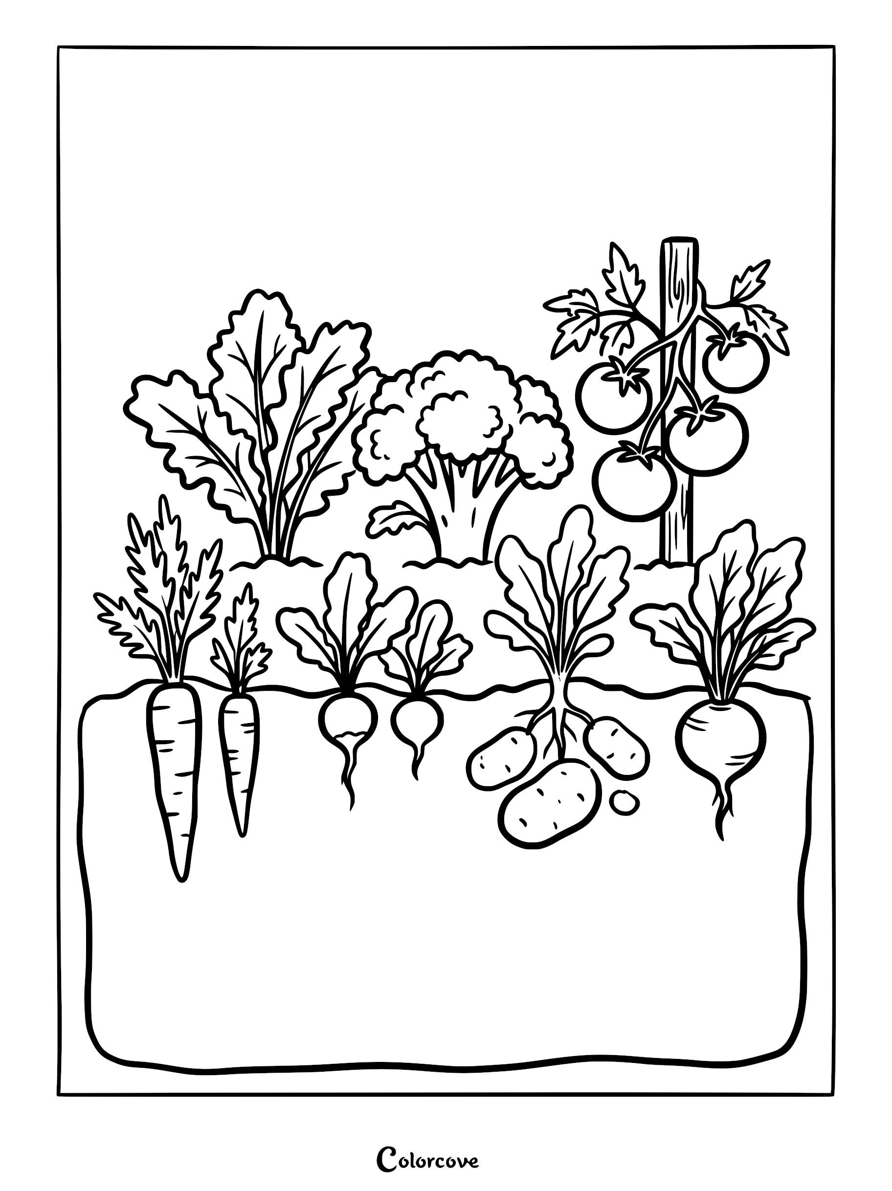 A printable coloring page showing an underground vs. above-ground garden with carrots, radishes, potatoes, beets, leafy greens, broccoli, and tomatoes.