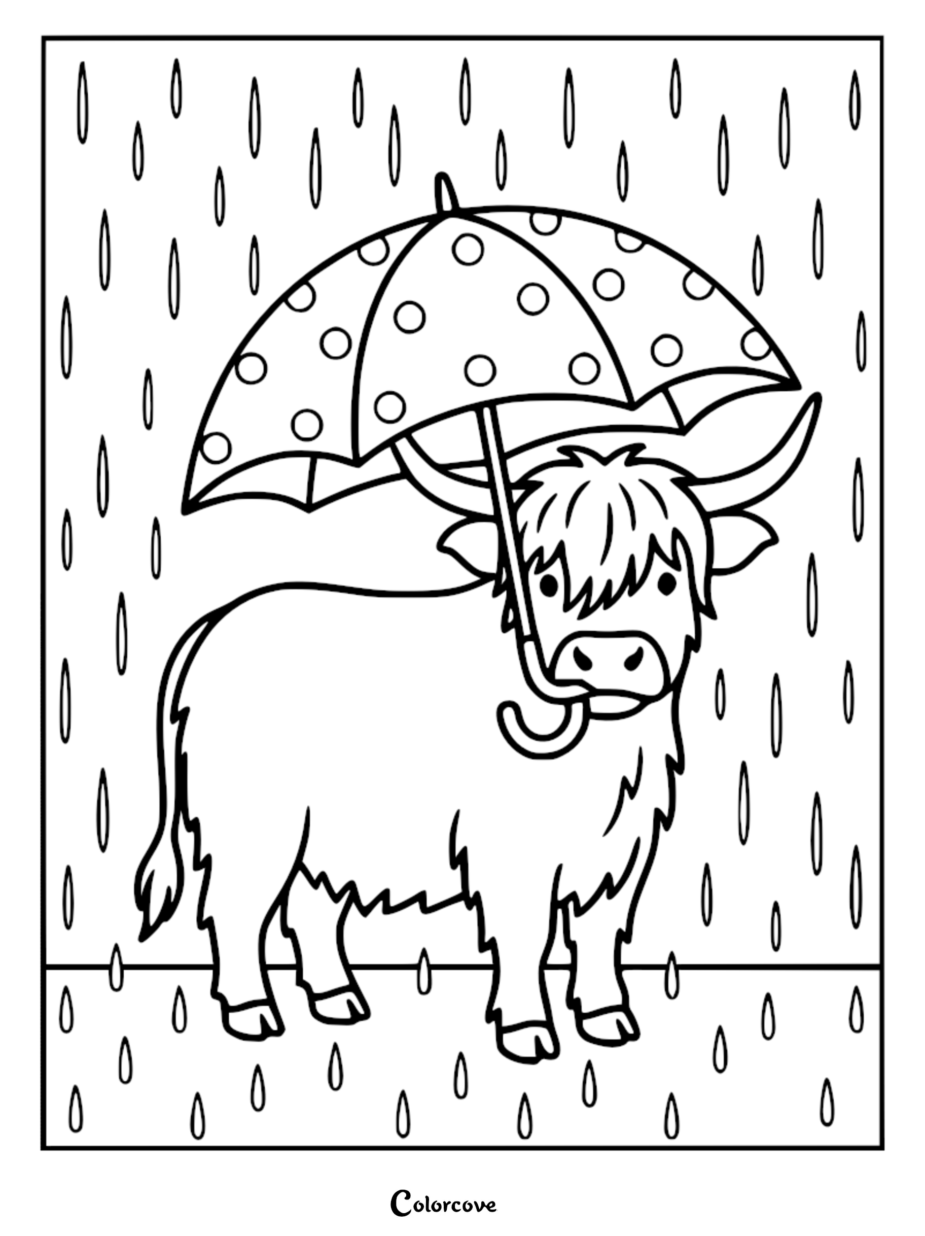 A cute Highland cow holding a polka dot umbrella in the rain coloring page.