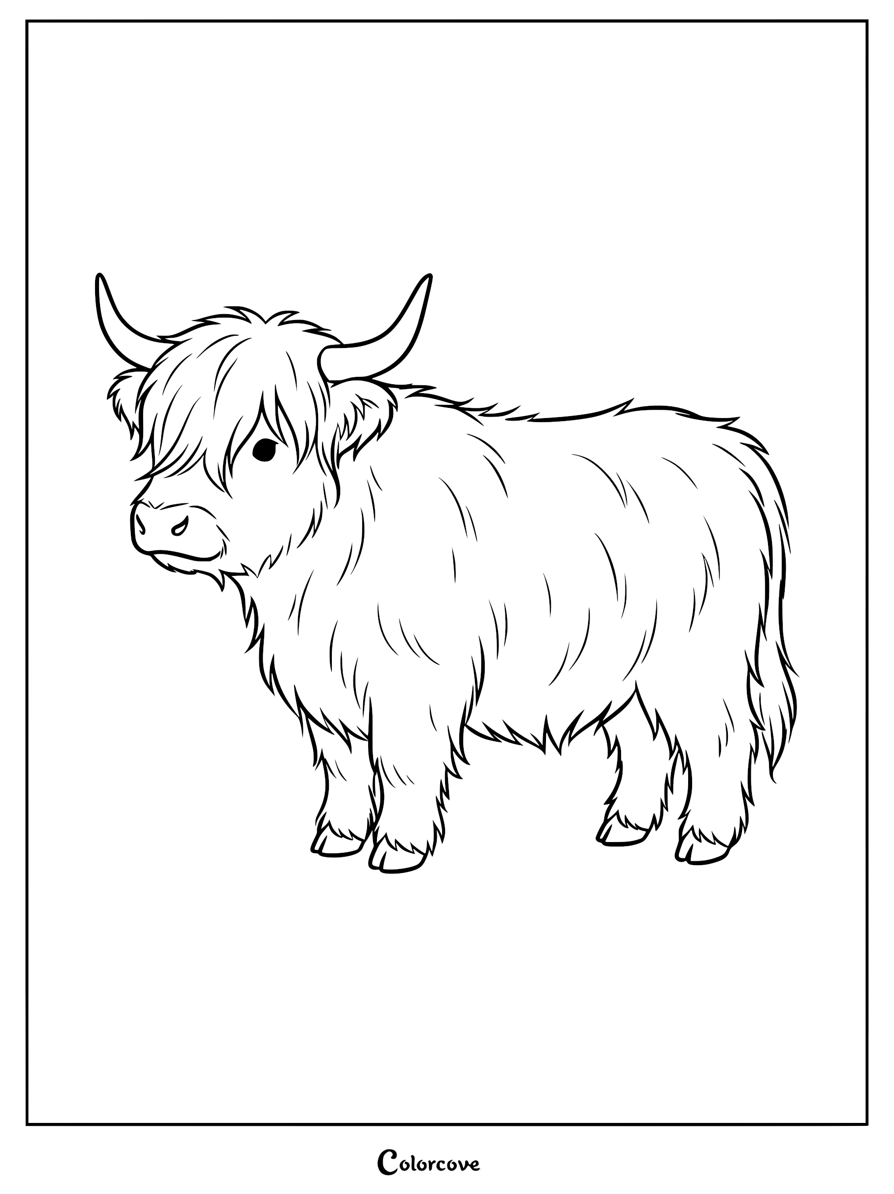 A simple line art coloring page featuring a fluffy Highland cow with shaggy fur and curved horns standing in profile.