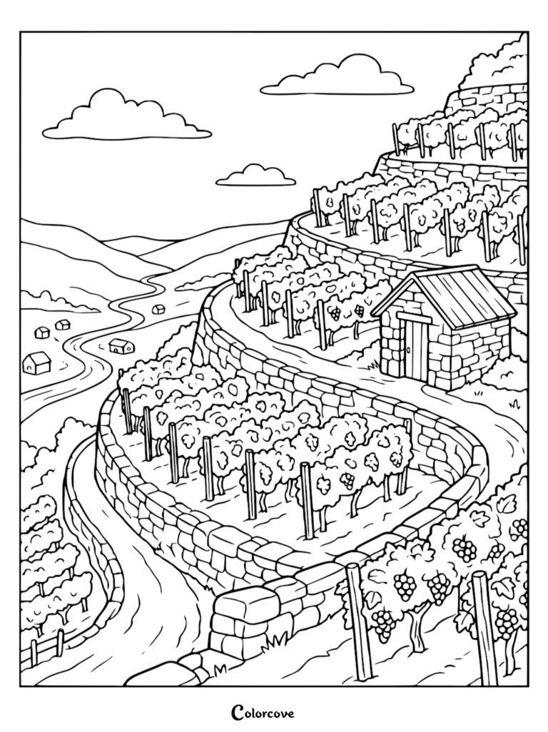 A detailed scenic hillside coloring page featuring terraced grapevines, stone walls, and a small rustic cabin overlooking a winding valley.
