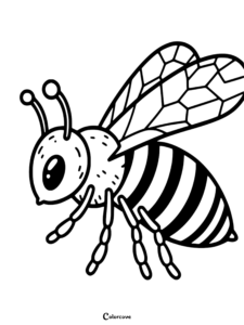 21 Free Honey Bee Coloring Pages