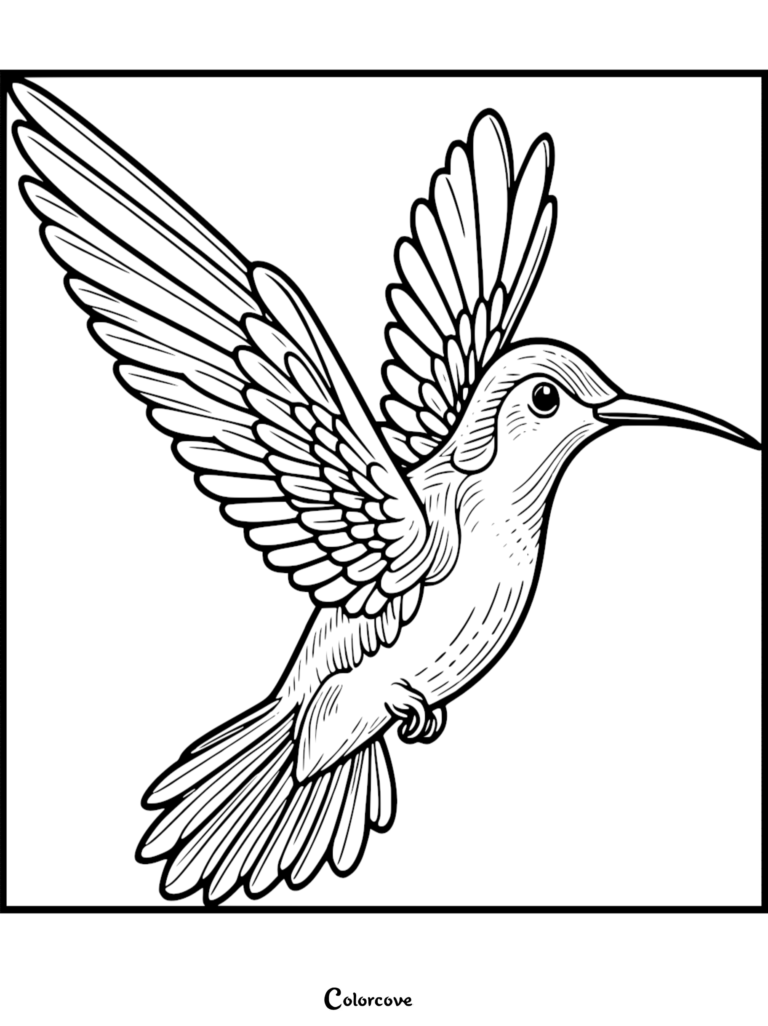 A detailed hummingbird coloring page featuring a bird in mid-flight with wings spread wide.