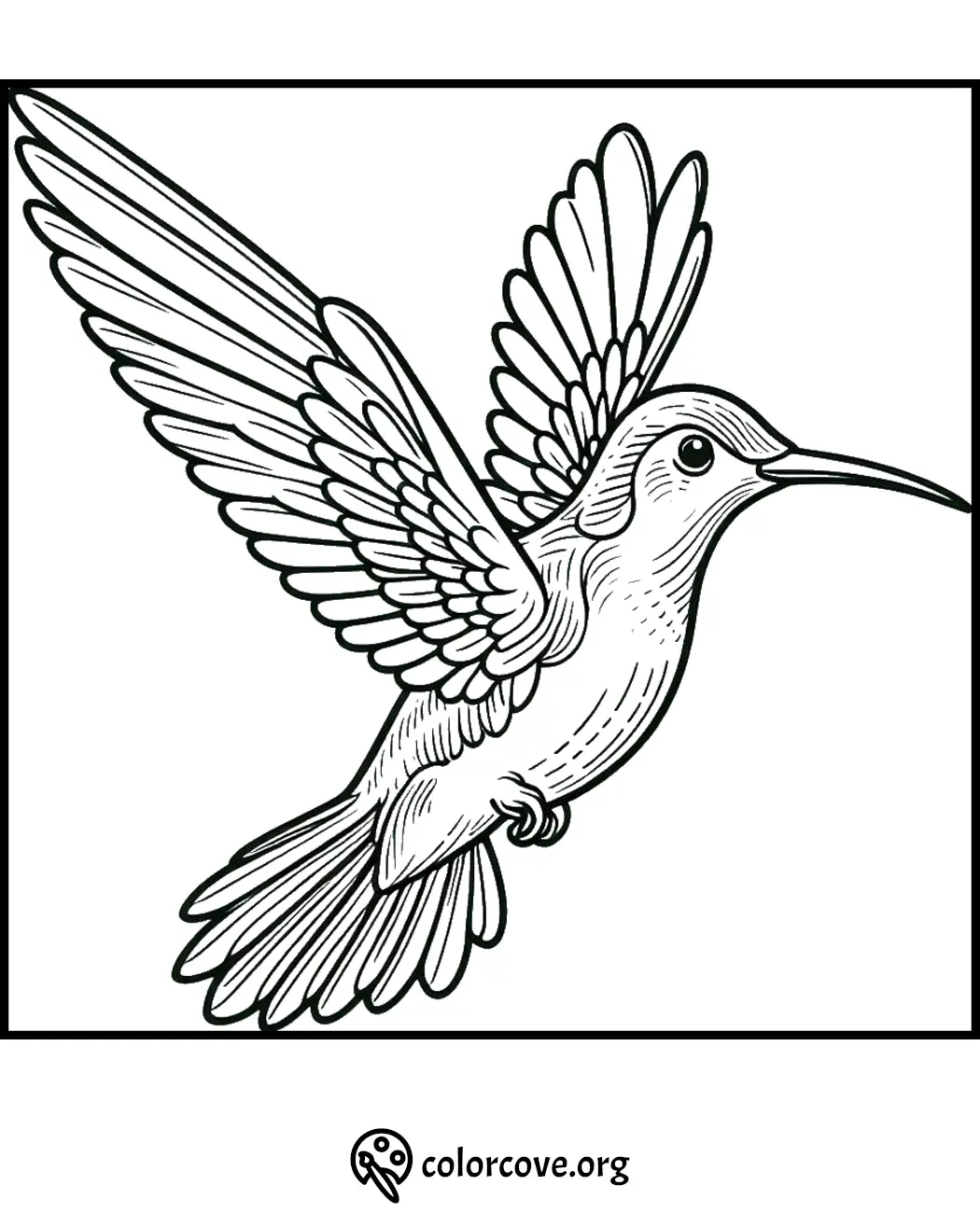 Hummingbird coloring page: intricate line art for kids and adults to color and enjoy.