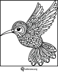 Intricate hummingbird coloring page with detailed patterns for mindfulness and creativity.