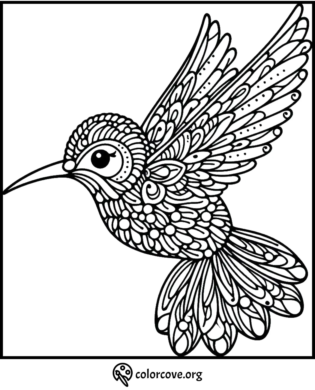 Intricate hummingbird coloring page with detailed patterns for mindfulness and creativity.