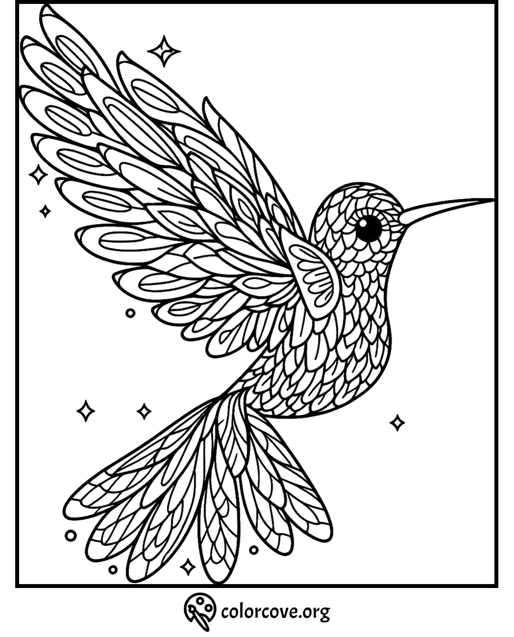 Intricate hummingbird coloring page with detailed feathers and star patterns for stress-relief and creativity.