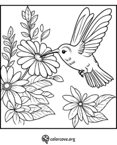 Hummingbird and flowers coloring page for kids and adults, featuring detailed nature designs for relaxation and creativity.