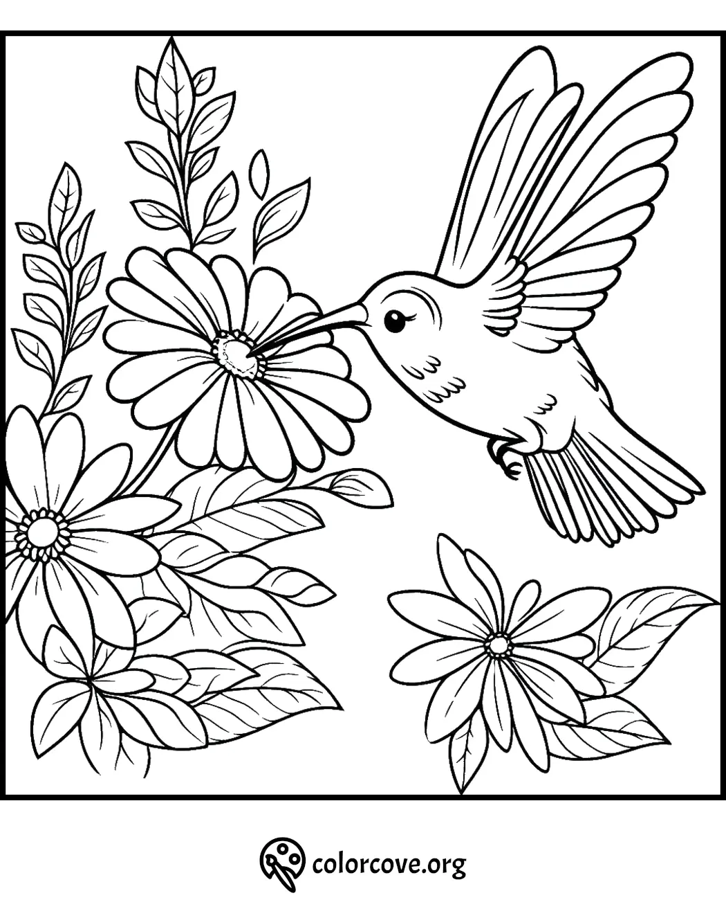 Hummingbird and flowers coloring page for kids and adults, featuring detailed nature designs for relaxation and creativity.