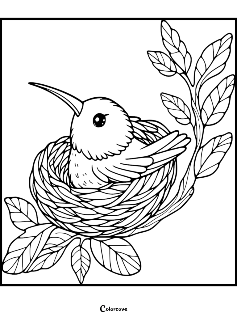 A cute hummingbird sitting in a woven nest on a leafy branch, printable coloring page.